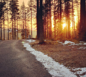 Walk your own path