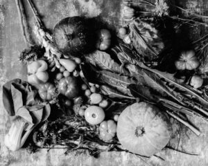 Vegetables